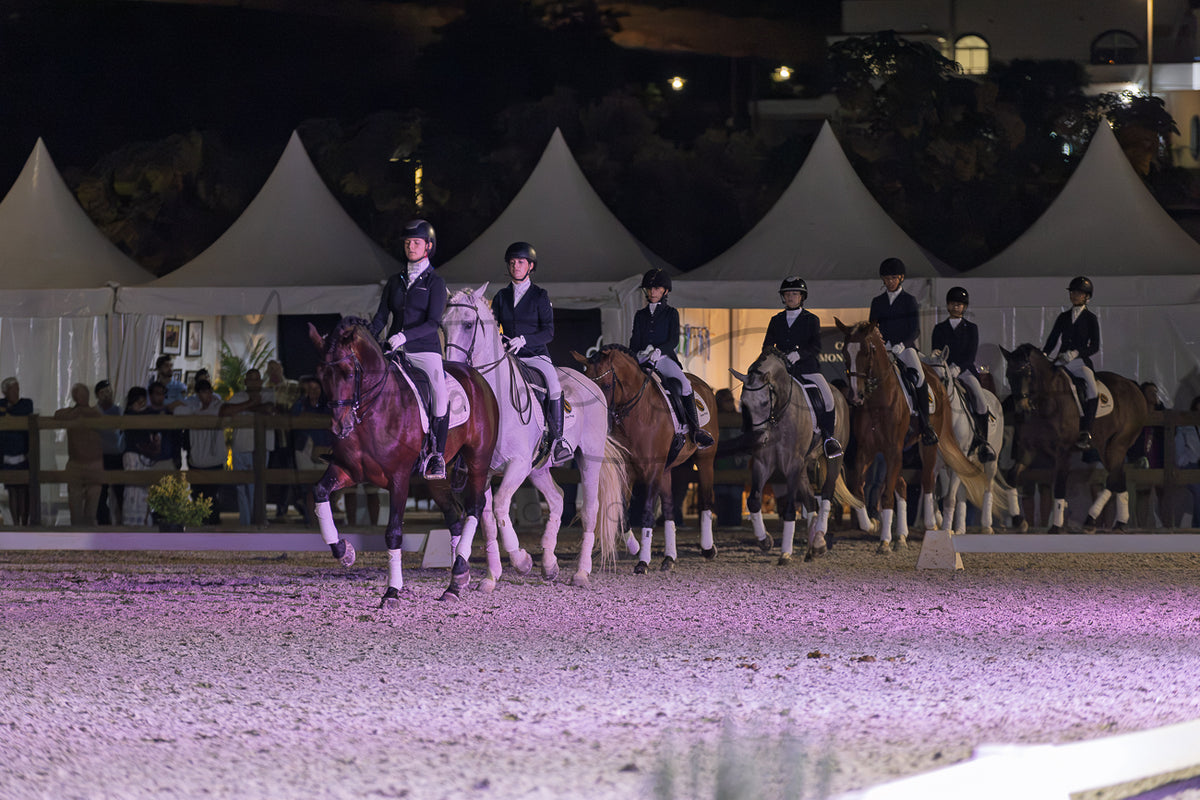 Horse Riding School - Dressage Collective