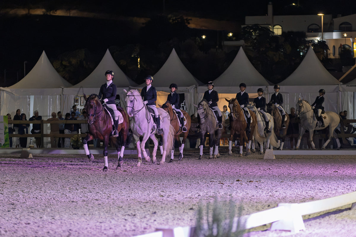 Horse Riding School - Dressage Collective