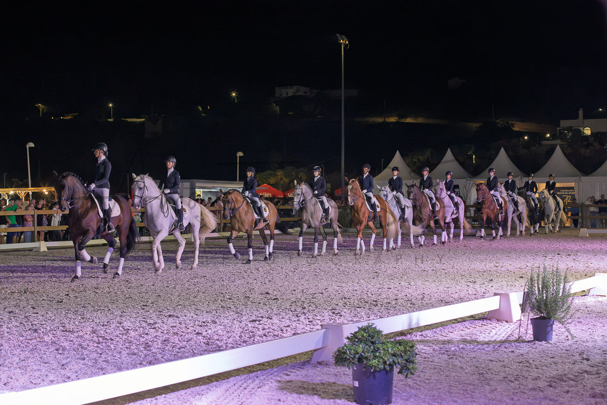 Horse Riding School - Dressage Collective