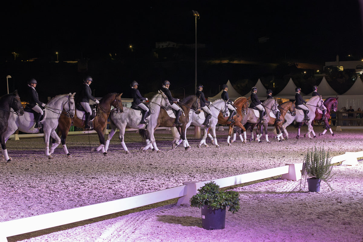 Horse Riding School - Dressage Collective