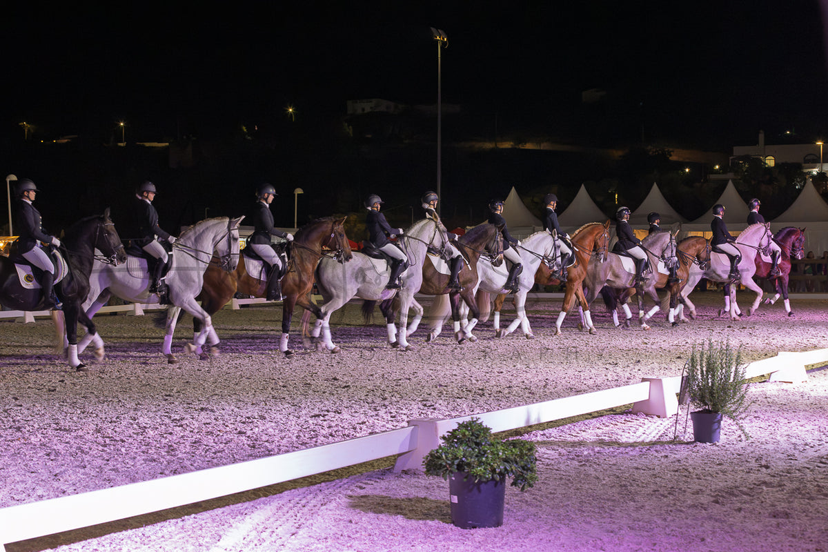 Horse Riding School - Dressage Collective