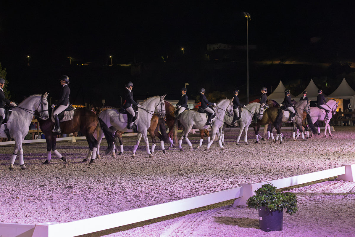 Horse Riding School - Dressage Collective