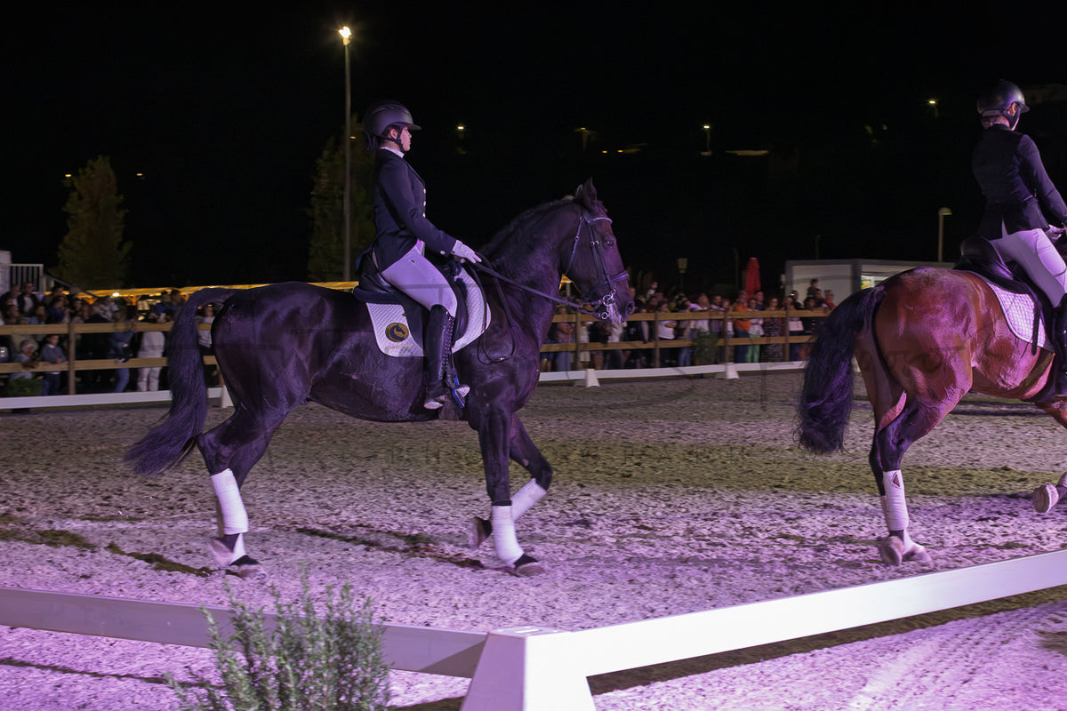 Horse Riding School - Dressage Collective