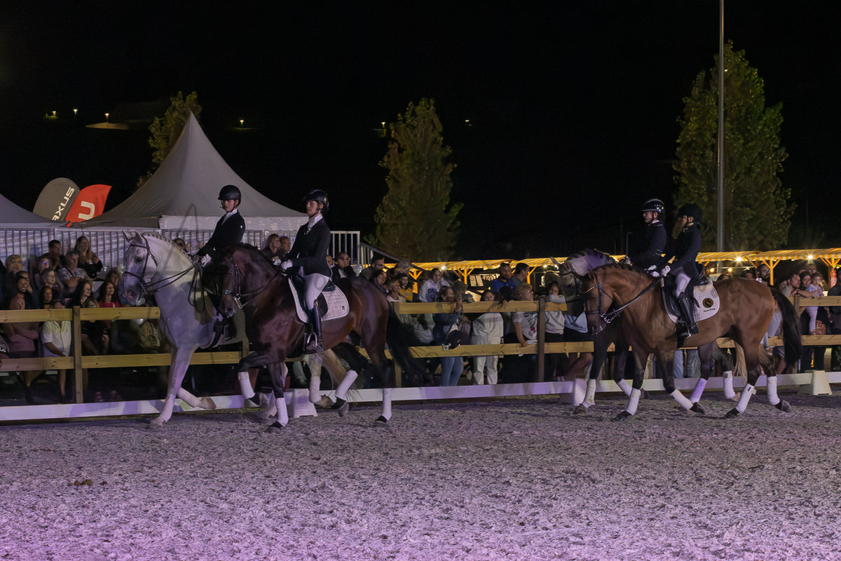 Horse Riding School - Dressage Collective