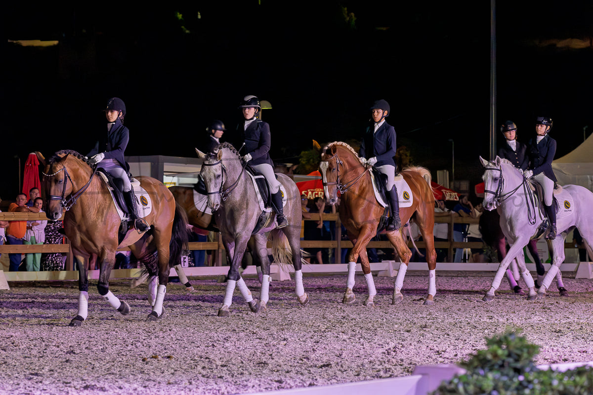 Horse Riding School - Dressage Collective