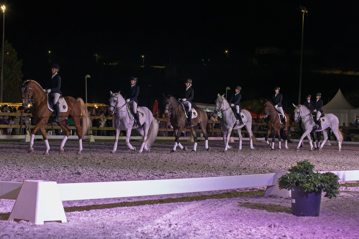 Horse Riding School - Dressage Collective