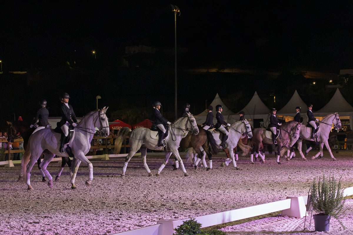 Horse Riding School - Dressage Collective