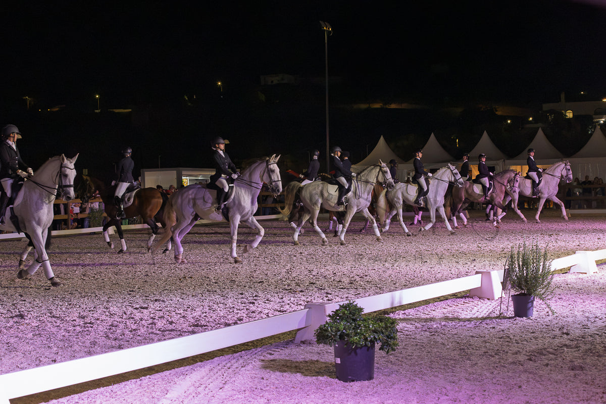 Horse Riding School - Dressage Collective