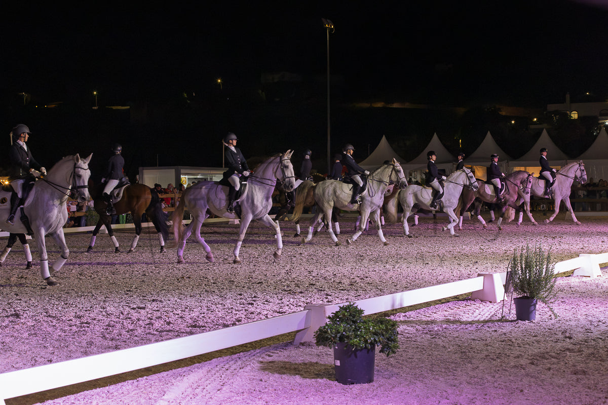 Horse Riding School - Dressage Collective