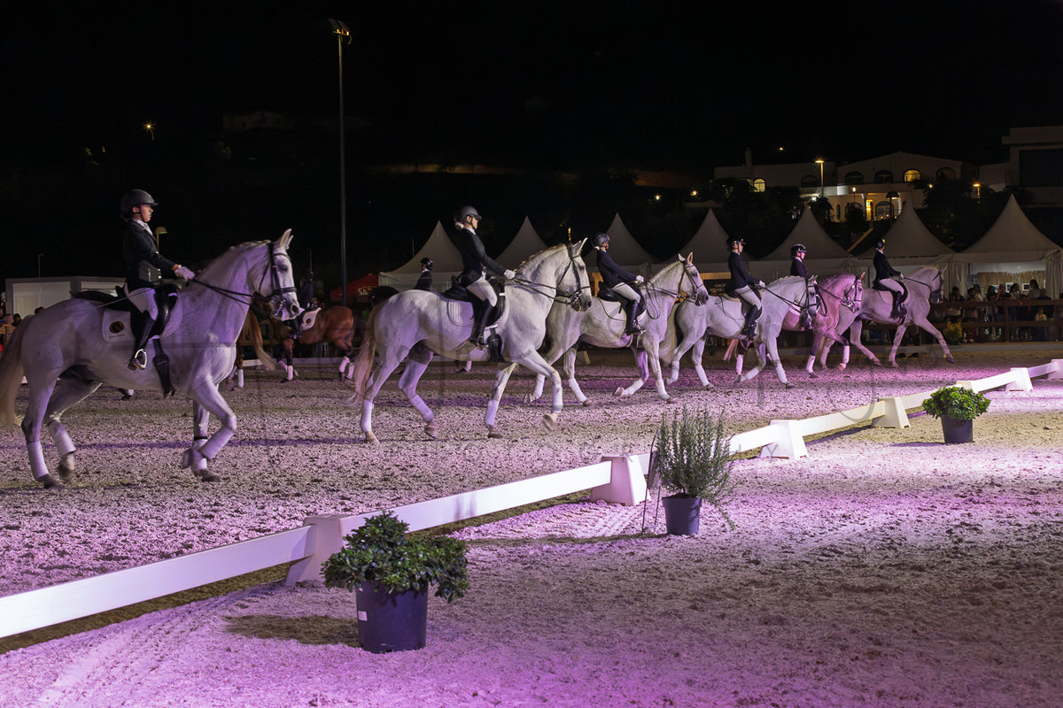 Horse Riding School - Dressage Collective