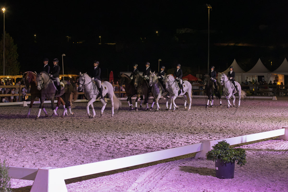 Horse Riding School - Dressage Collective