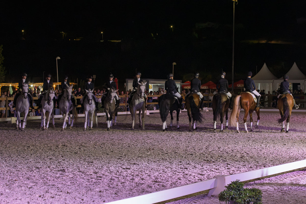 Horse Riding School - Dressage Collective
