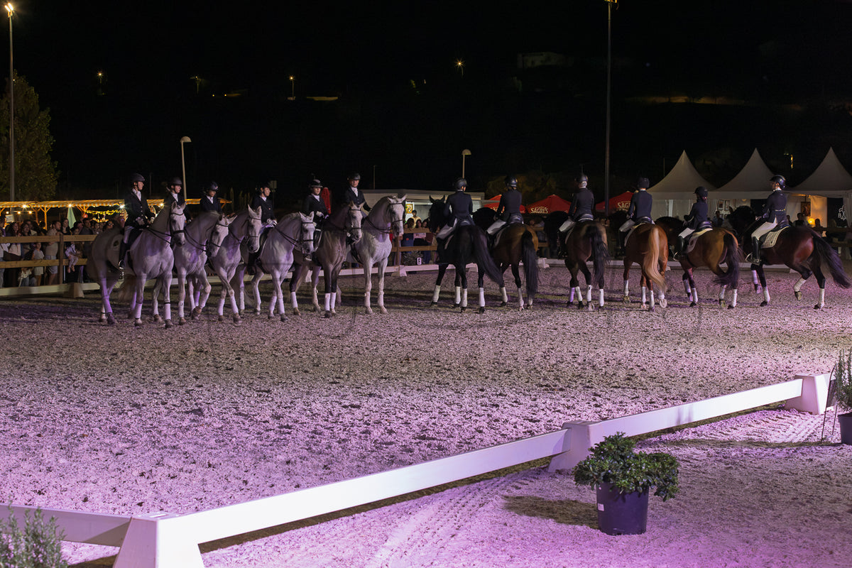 Horse Riding School - Dressage Collective