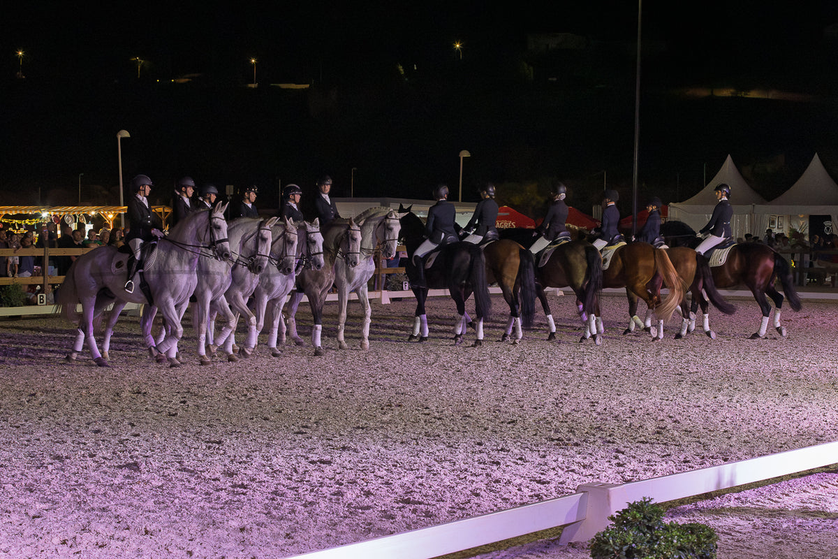 Horse Riding School - Dressage Collective