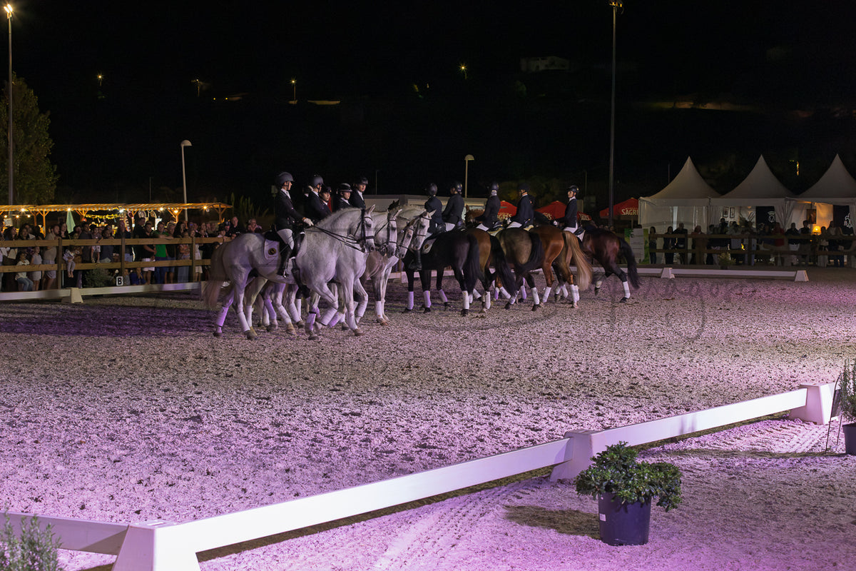 Horse Riding School - Dressage Collective