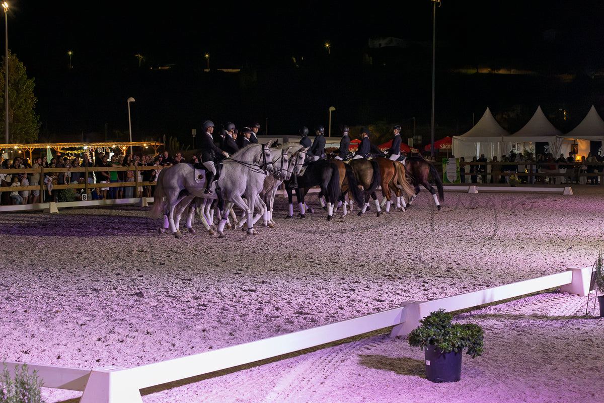 Horse Riding School - Dressage Collective