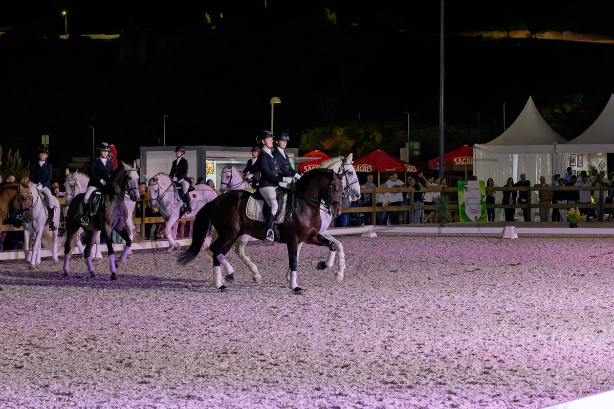Horse Riding School - Dressage Collective