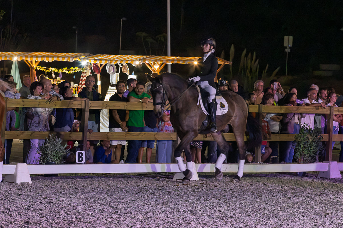Horse Riding School - Dressage Collective