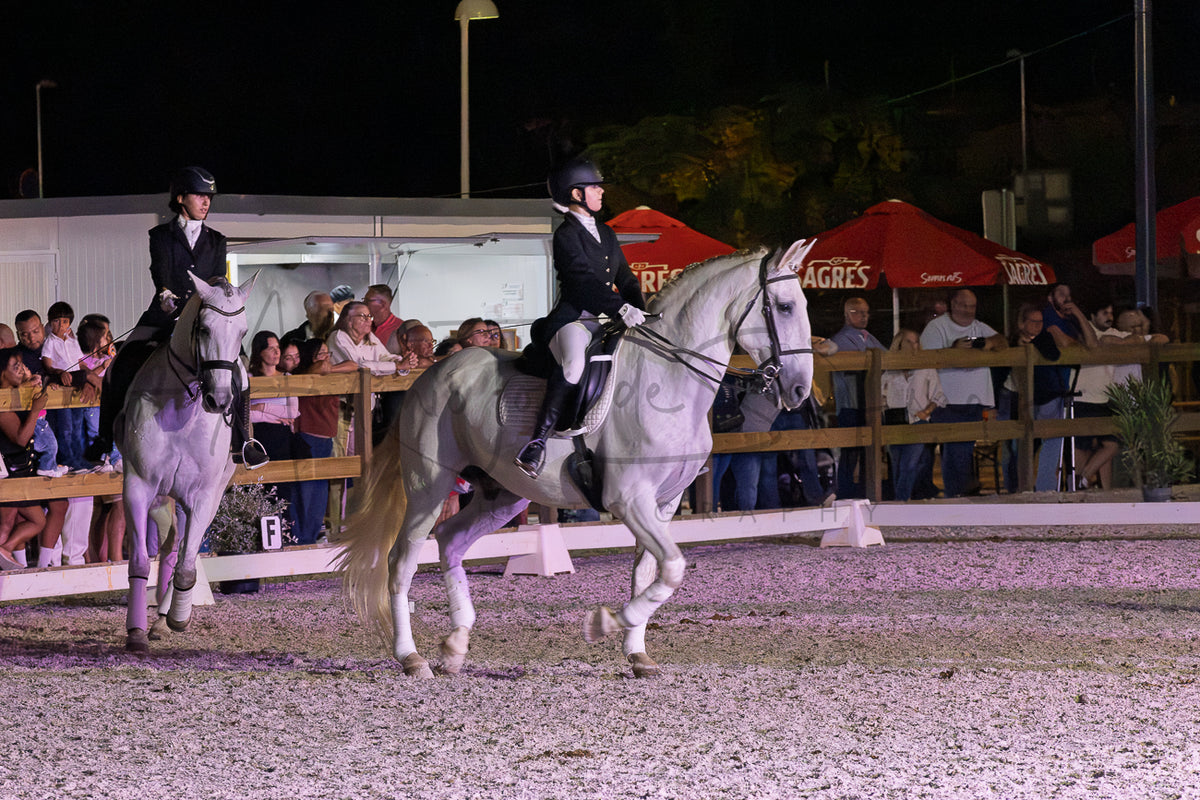Horse Riding School - Dressage Collective