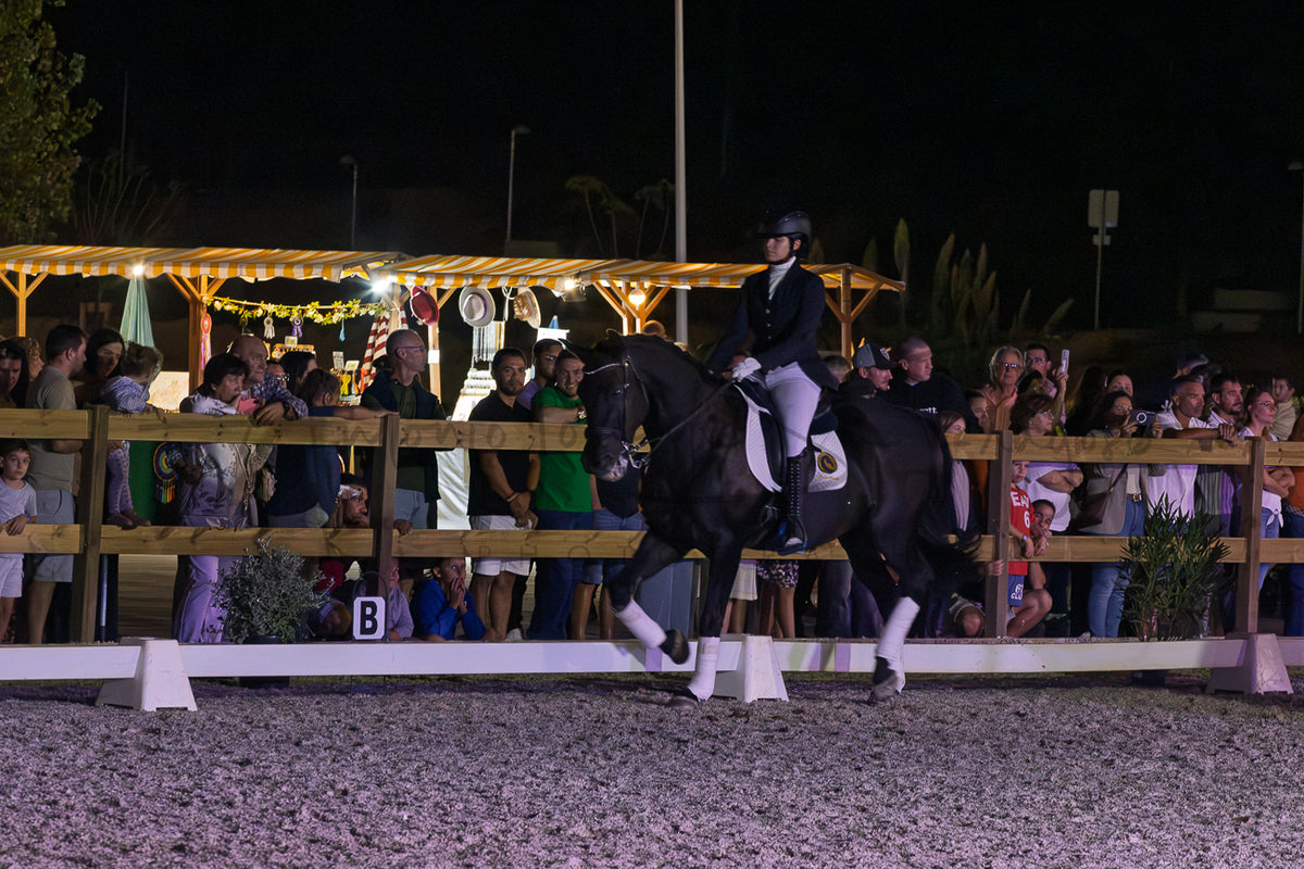 Horse Riding School - Dressage Collective