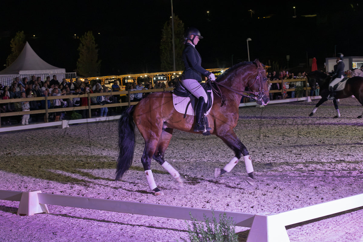 Horse Riding School - Dressage Collective
