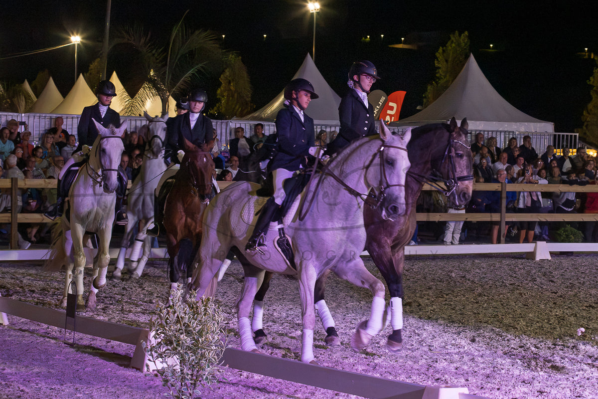 Horse Riding School - Dressage Collective