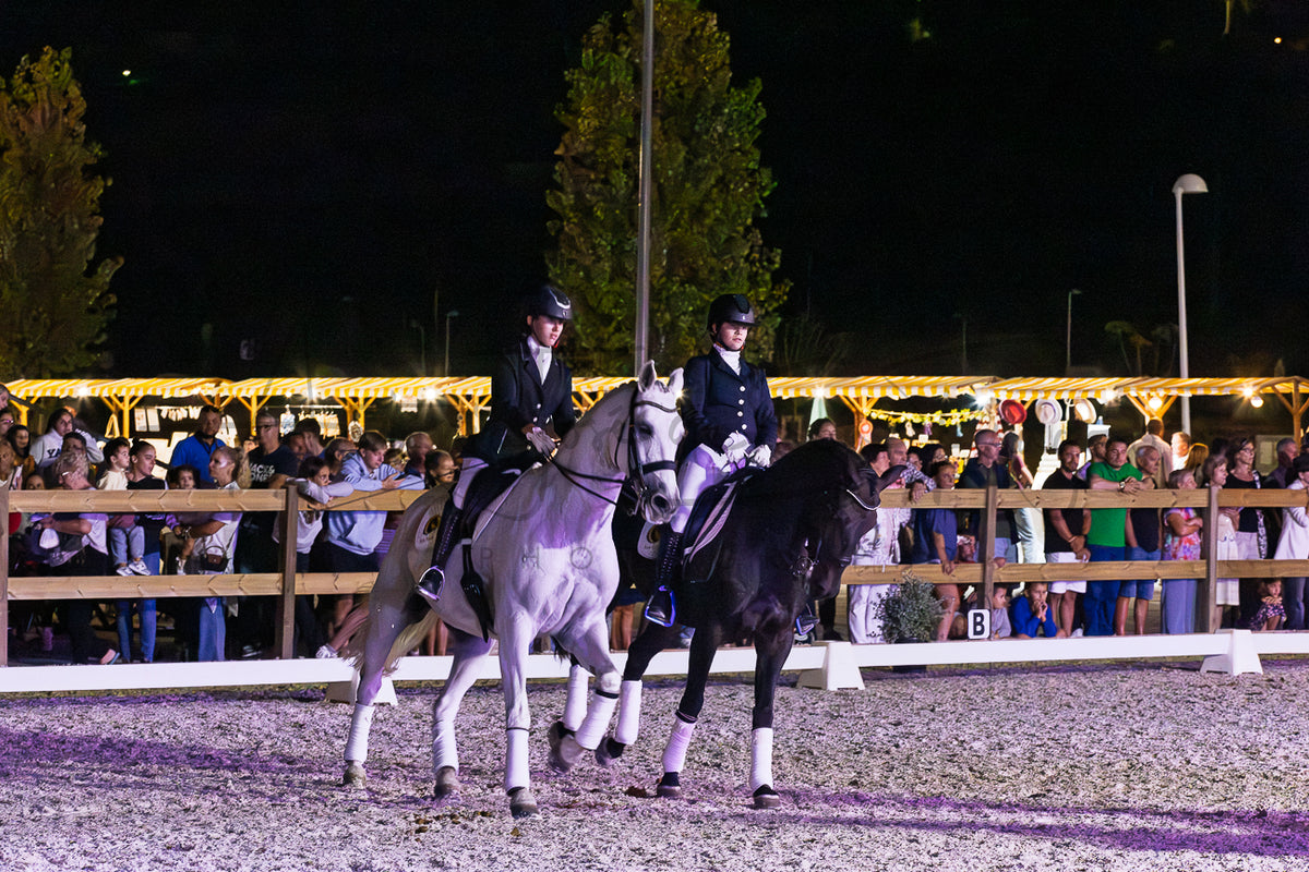 Horse Riding School - Dressage Collective