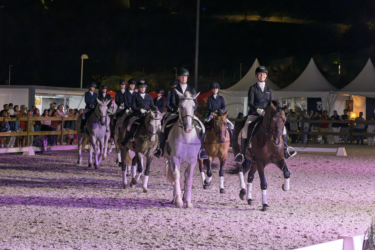 Horse Riding School - Dressage Collective