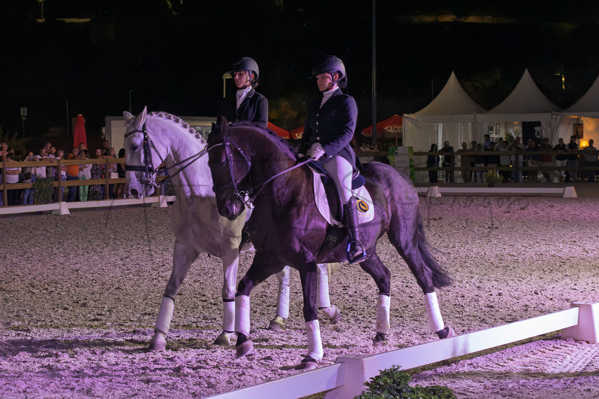 Horse Riding School - Dressage Collective