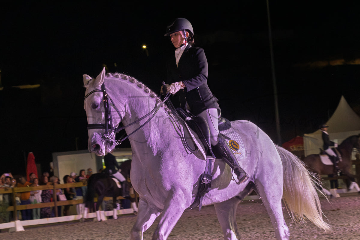 Horse Riding School - Dressage Collective