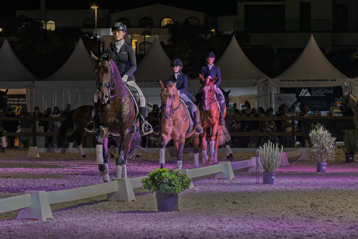 Horse Riding School - Dressage Collective