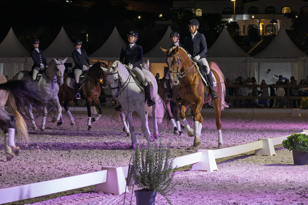 Horse Riding School - Dressage Collective