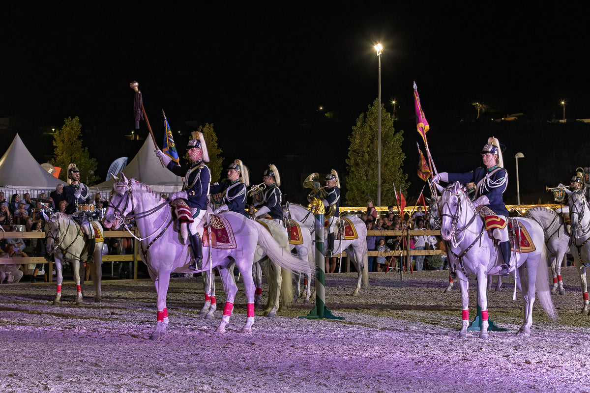 A nighttime scene of medieval-style riders on white horses in an arena, wearing dark uniforms and holding flags. Spectators and tents are visible in the background under stadium lights.