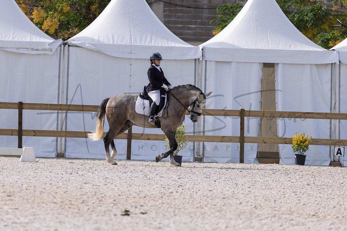 A rider in black equestrian attire sits on a gray horse in a gravel riding arena, with white event tents and a wooden fence in the background.