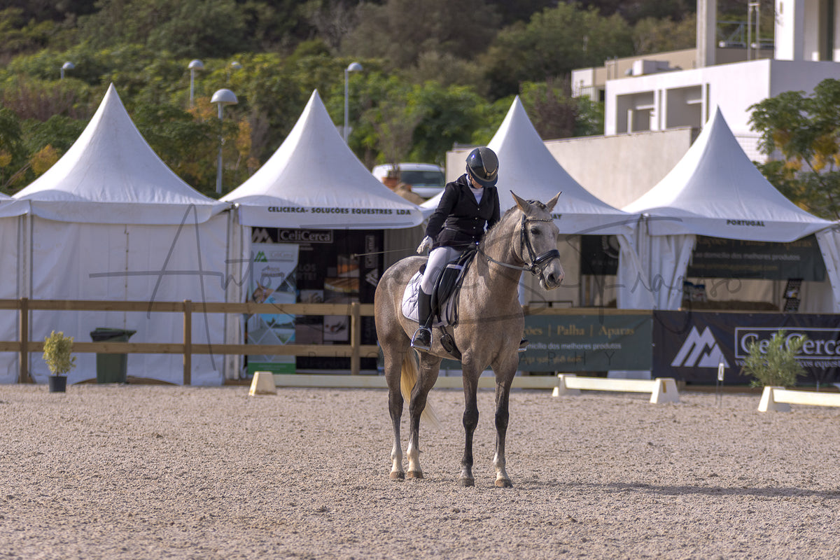 A horse rider in equestrian attire rides a light brown horse across an outdoor arena, with white event tents, fencing, and trees in the background.