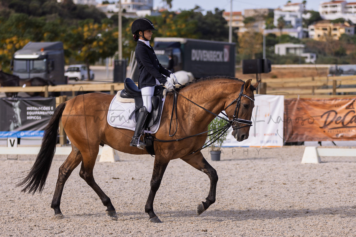 A brown horse and rider in formal equestrian attire performing in an outdoor sand arena, with banners and trucks visible in the background.