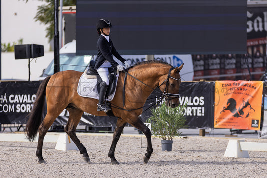 A rider in formal equestrian attire sits on a brown horse in an outdoor riding arena, with banners and event structures visible in the background.