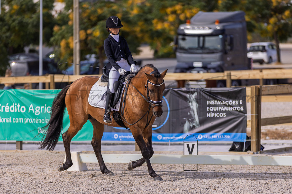 A rider in formal equestrian attire sits atop a brown horse in an outdoor arena, with fencing, banners, and vehicles visible in the background.
