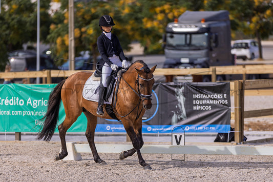 A rider in formal equestrian attire sits atop a brown horse in an outdoor arena, with fencing, banners, and vehicles visible in the background.