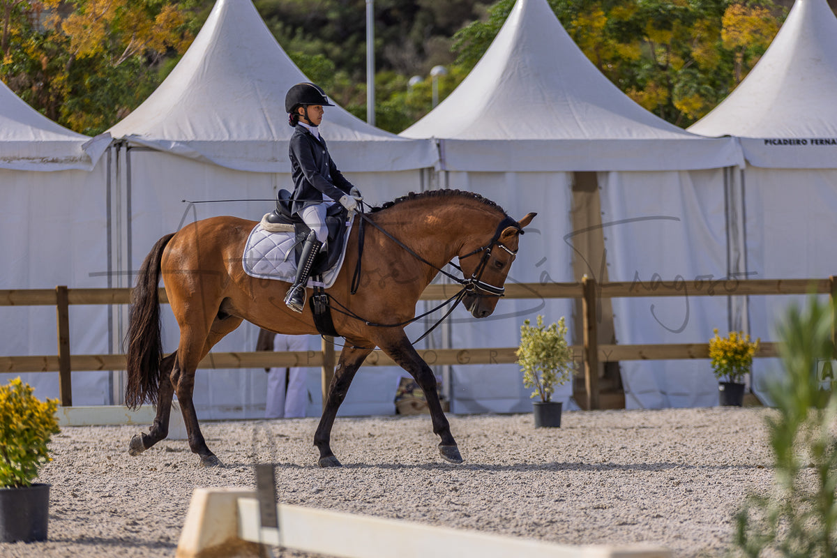 A rider in equestrian attire sits on a brown horse within an outdoor riding arena, with white event tents and trees in the background.