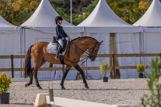 A rider in equestrian attire sits on a brown horse within an outdoor riding arena, with white event tents and trees in the background.