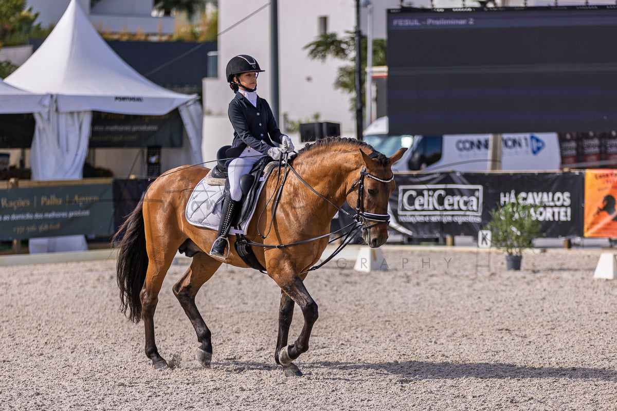 A rider in equestrian attire sits on a brown horse in an outdoor riding arena, with tents, banners, and event signage visible in the background.