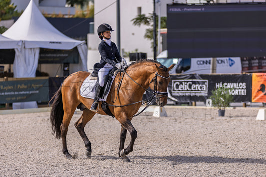 A rider in equestrian attire sits on a brown horse in an outdoor riding arena, with tents, banners, and event signage visible in the background.