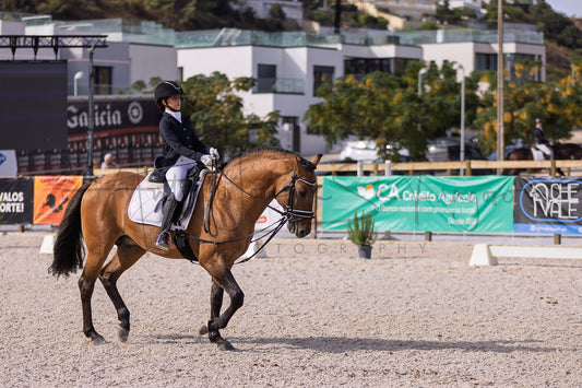 A rider in equestrian competition attire sits on a brown horse during a dressage or eventing competition in an outdoor arena, with banners and buildings visible in the background.
