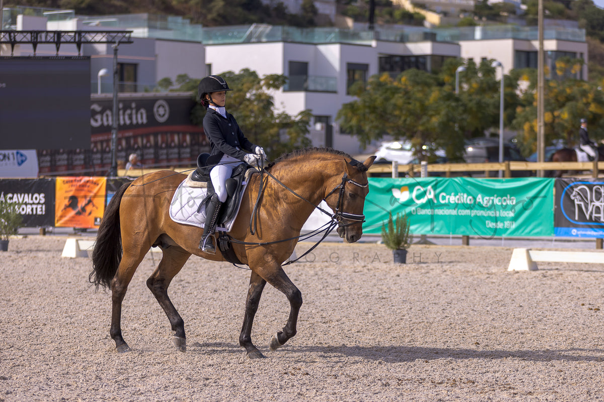 A rider in equestrian attire sits atop a brown horse during a dressage or eventing competition in an outdoor sand arena, with banners and buildings visible in the background.