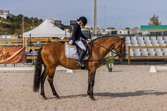 A rider in equestrian attire sits on a brown horse in an outdoor riding arena, with stadium seating, tents, and fencing visible in the background.