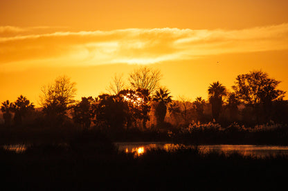 SunRise at Salgados (Displayed Framed 73x53)