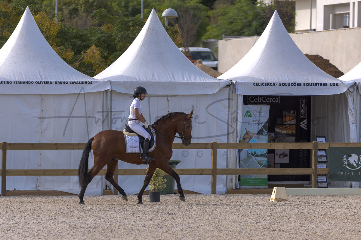 A rider on a brown horse trots in an equestrian arena in front of large white event tents with visible sponsor signage.