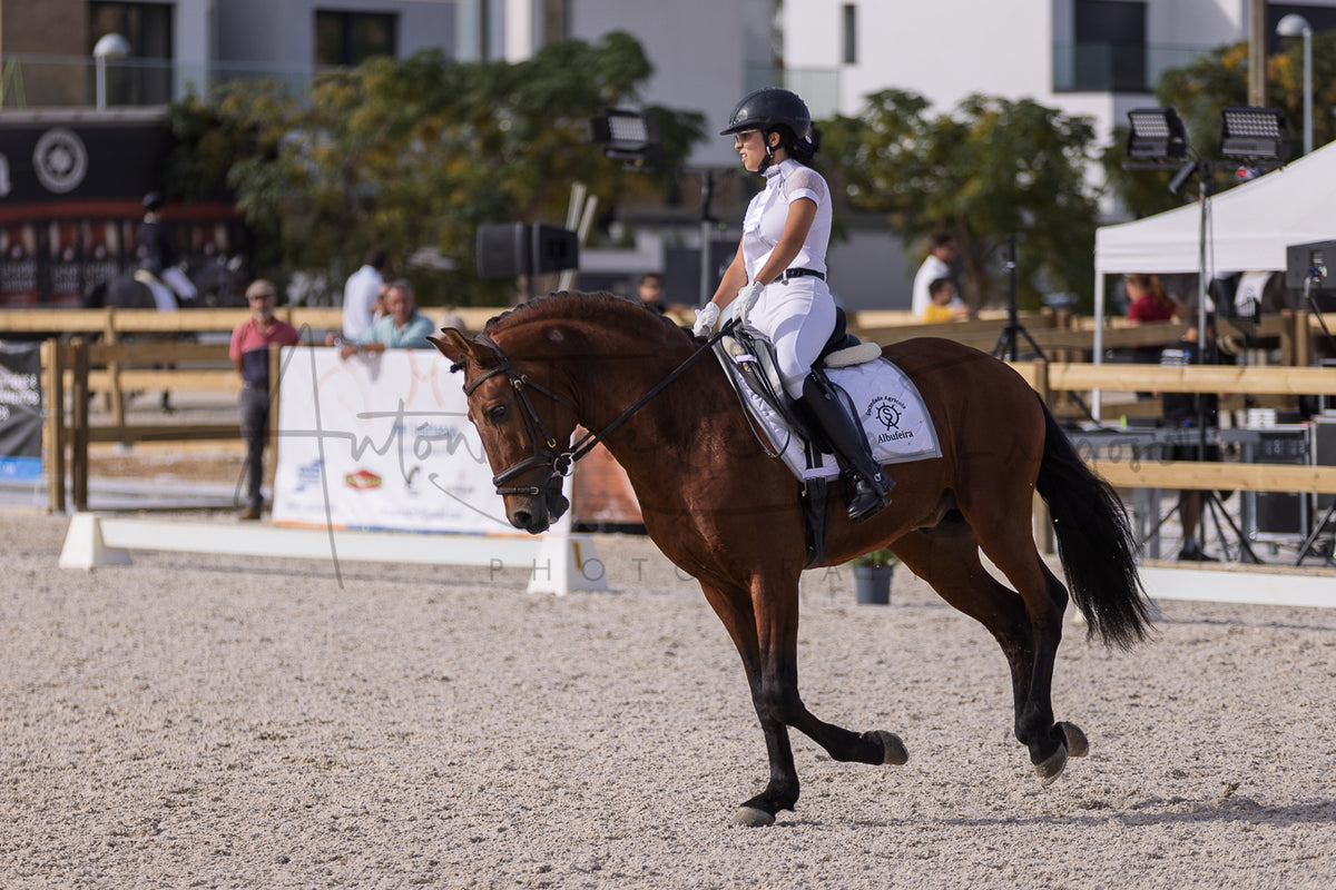 A rider in white equestrian attire sits on a brown horse in an outdoor riding arena, with fencing, trees, and event structures visible in the background.
