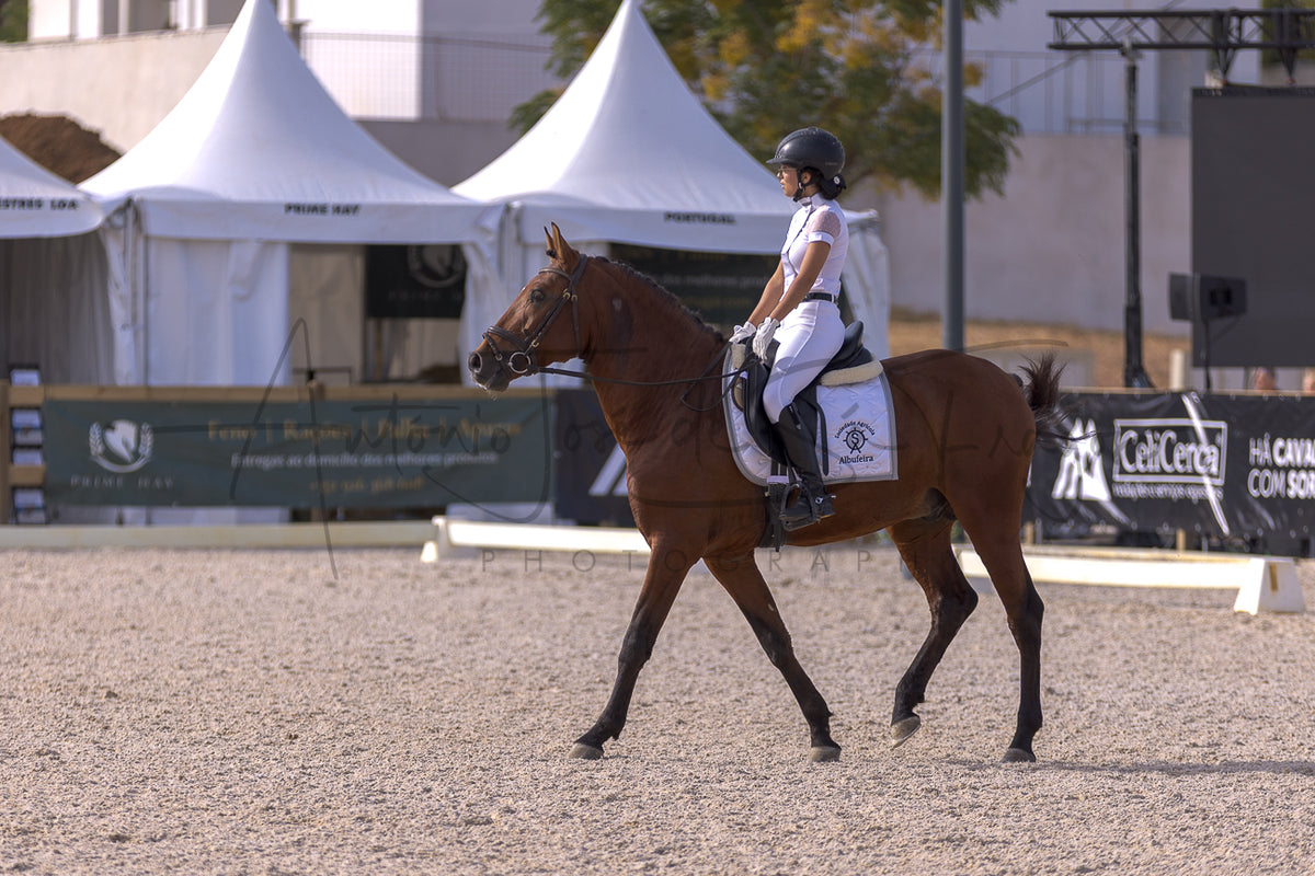 A rider in white equestrian attire sits on a brown horse in an outdoor riding arena, with white event tents and banners in the background.